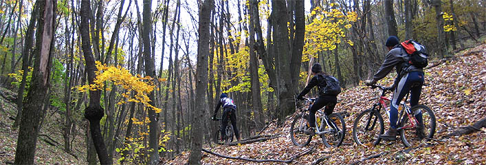 Mountain biking Cross Country Brasov