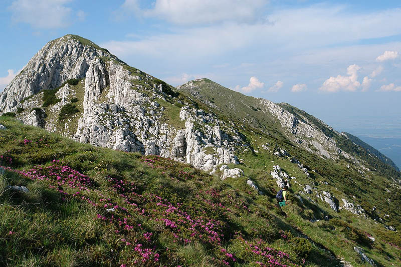 Hiking and trekking in Romania, Piatra Craiului Mountains